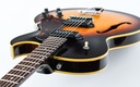 [530742] Gibson ES125 TDC Sunburst 1968-8.jpg