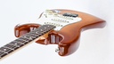 Fender Stratocaster Siena Burst Hardtail 1979-8.jpg