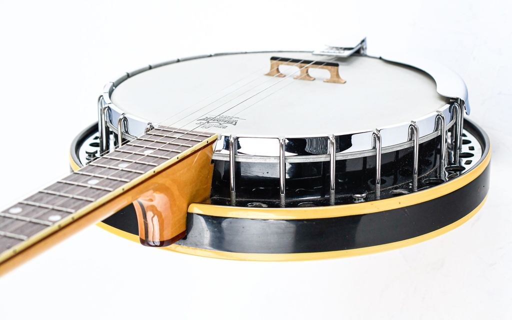 Fender Allegro Banjo 1974-8.jpg