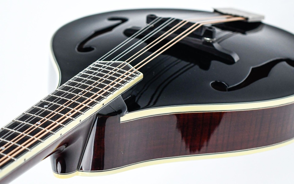 Bourgeois M5A Blacktop Aged Tone Mandolin-8.jpg