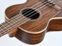 Kala KA SA T All Solid Acacia Tenor Ukelele