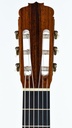 Rene Baarslag Flamenco Guitar Cypresse Spruce 1981-4.jpg