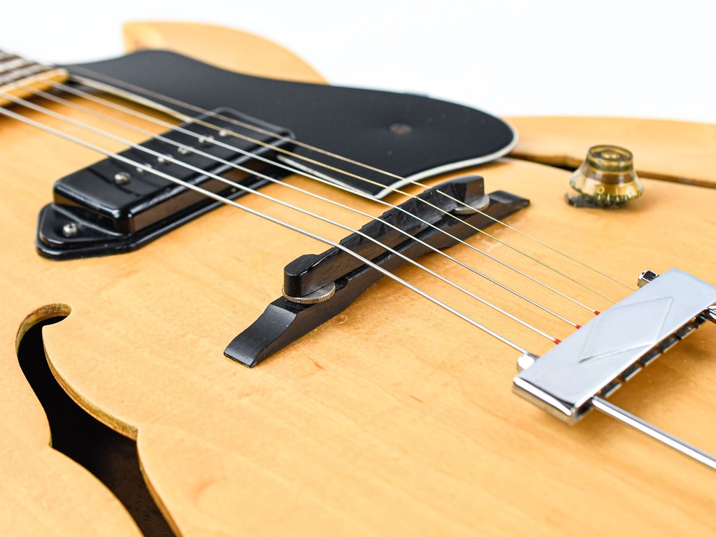 Gibson ES225 T N 1956-10.jpg