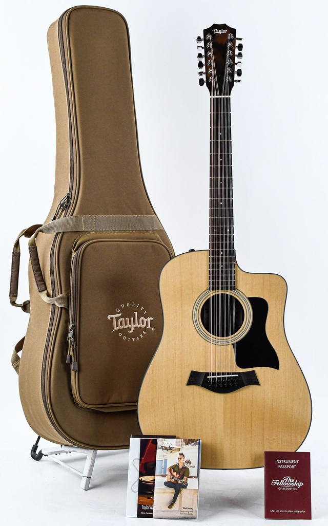 Taylor 150ce 12 String-1.jpg