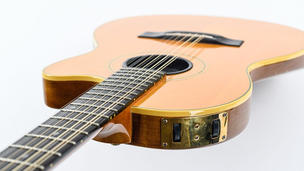 Gibson Chet Atkins 12 String Used-8.jpg