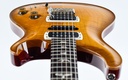 PRS McCarty Modern Eagle Honey Burst V 2023-13.jpg