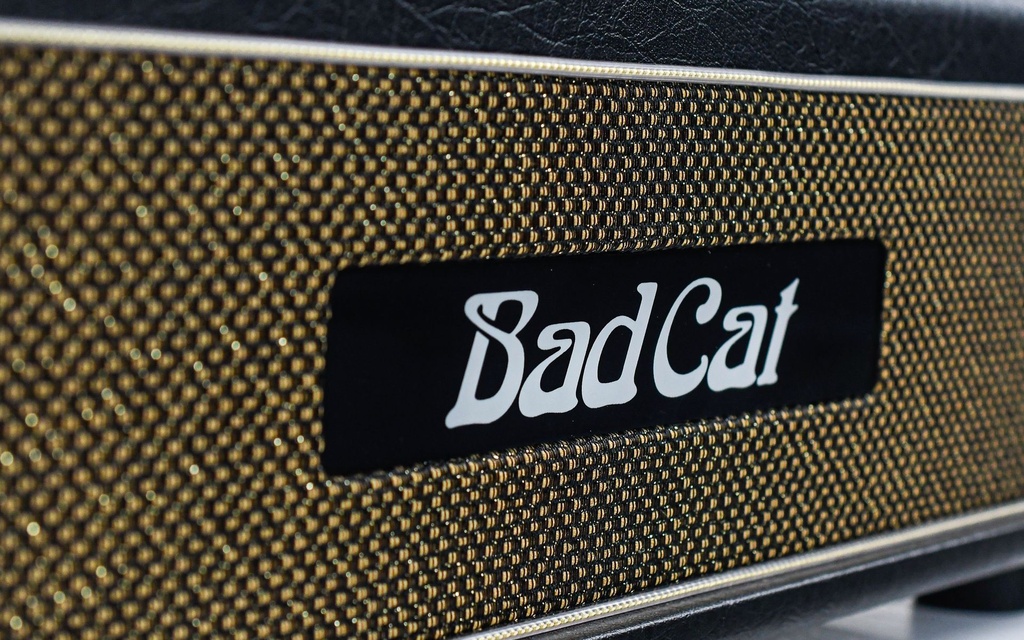 Bad Cat Black Cat Head-5.jpg