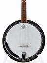 Fender Allegro Banjo 1974-3.jpg