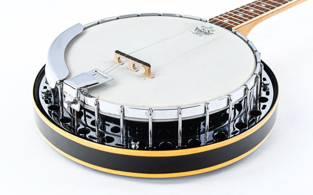 Fender Allegro Banjo 1974-11.jpg