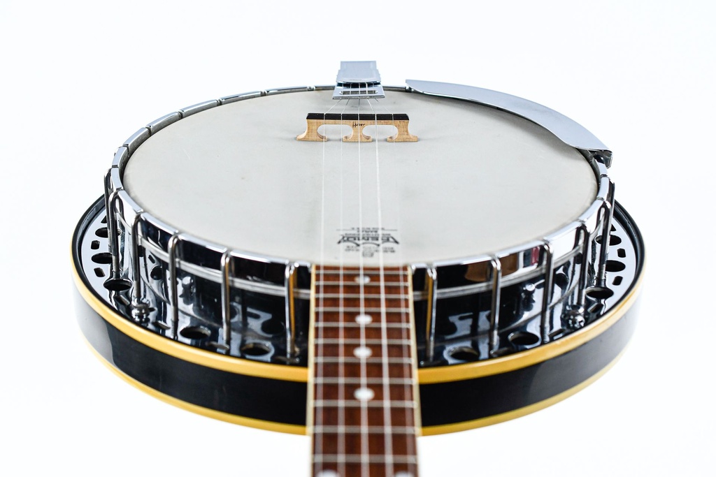 Fender Allegro Banjo 1974-12.jpg