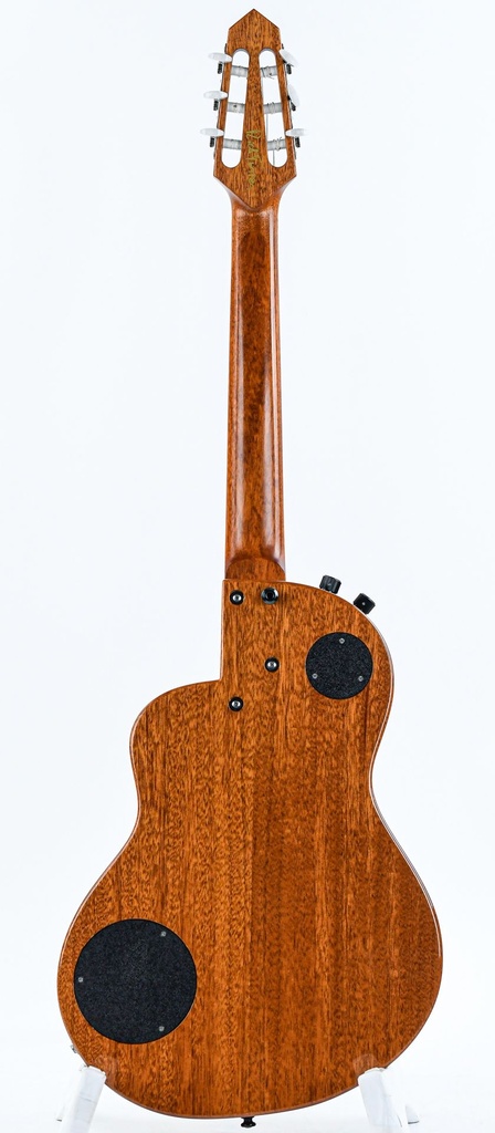 [185253] Rick Turner RN6 Mahogany Cedar 2019-7.jpg