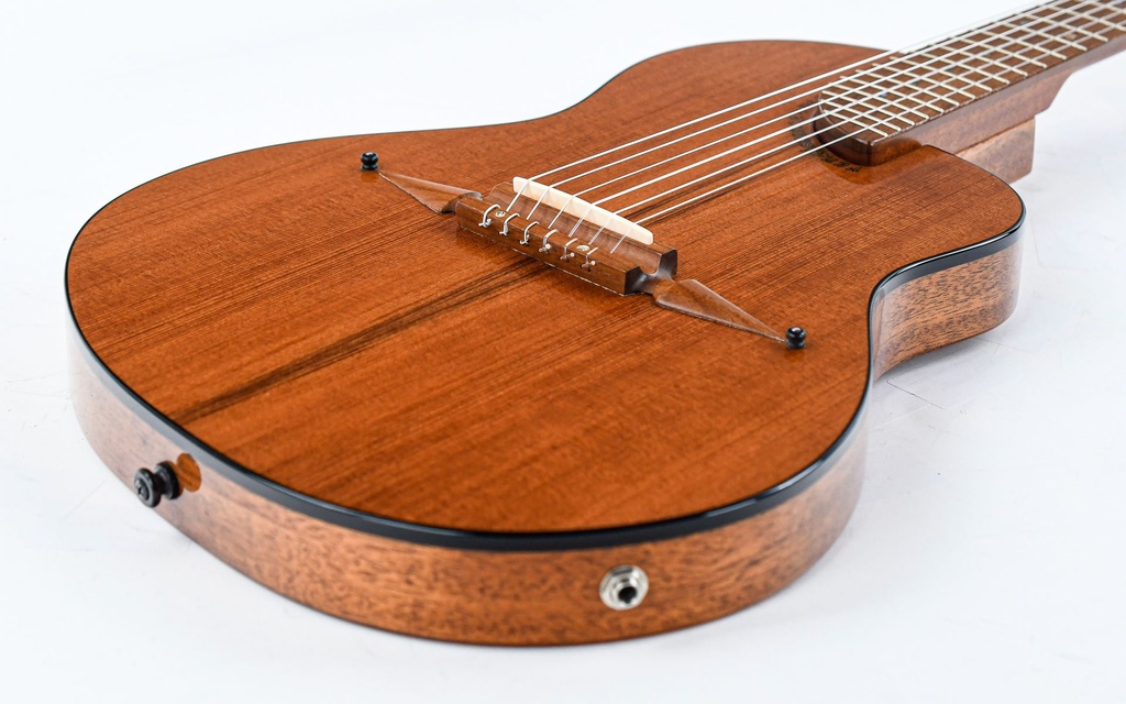 [185253] Rick Turner RN6 Mahogany Cedar 2019-11.jpg