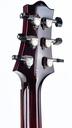 Nik Huber Dolphin 2 Fatback D.S. Faded Sunburst 2006-5.jpg