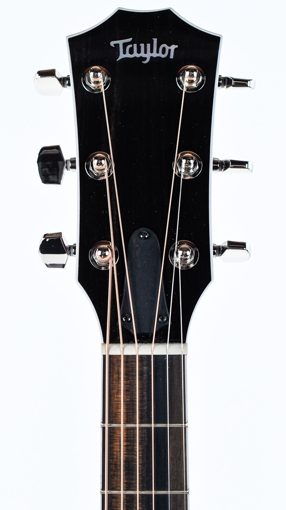 Taylor BTO ''Prince Guitar''-4.jpg