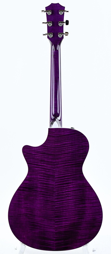 Taylor BTO ''Prince Guitar''-7.jpg