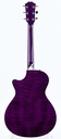 Taylor BTO ''Prince Guitar''-7.jpg