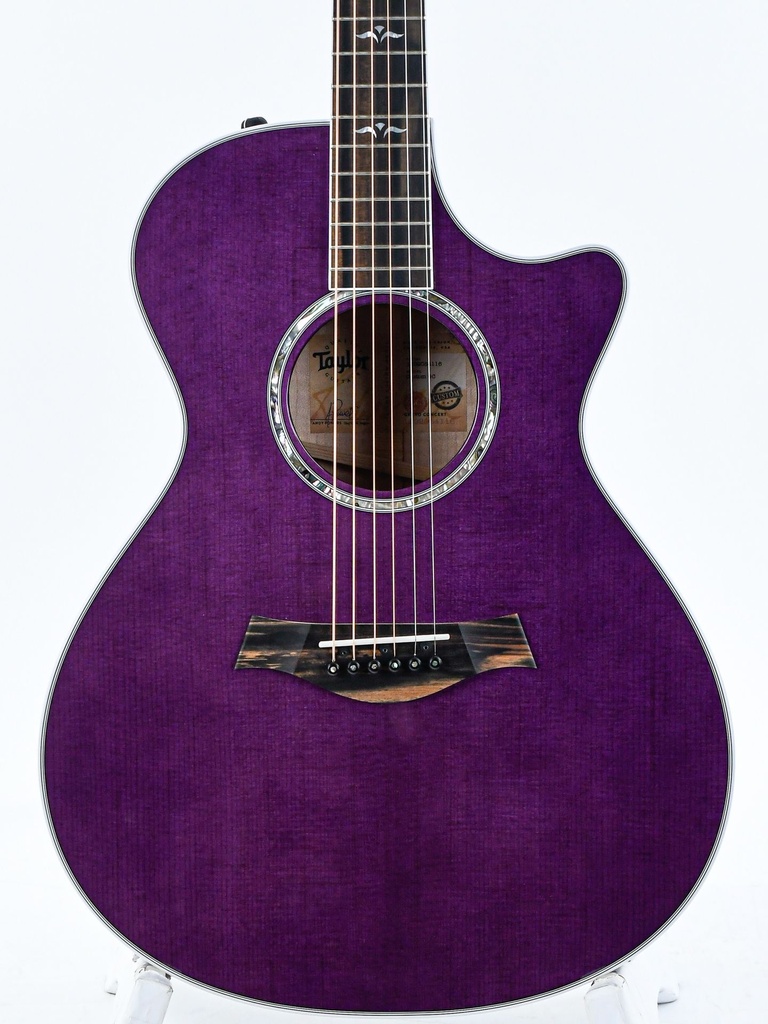 Taylor BTO ''Prince Guitar''-3.jpg