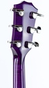 Taylor BTO ''Prince Guitar''-5.jpg