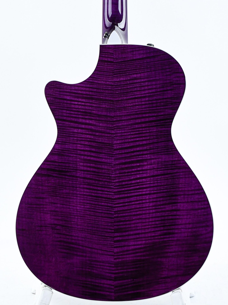 Taylor BTO ''Prince Guitar''-6.jpg