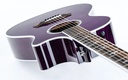 Taylor BTO ''Prince Guitar''-8.jpg