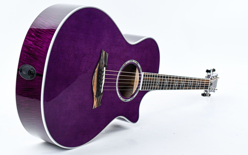 Taylor BTO ''Prince Guitar''-11.jpg