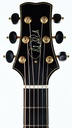 [A141308] PRS Angelus Cutaway 2014-4.jpg