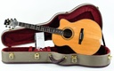 [A141308] PRS Angelus Cutaway 2014-1.jpg