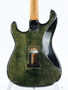 Dick Dijkman Strat Green Transparant 1992-6.jpg