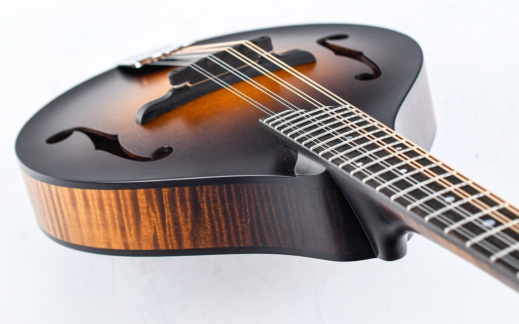 [MT] Collings MT Mandolin-8.jpg