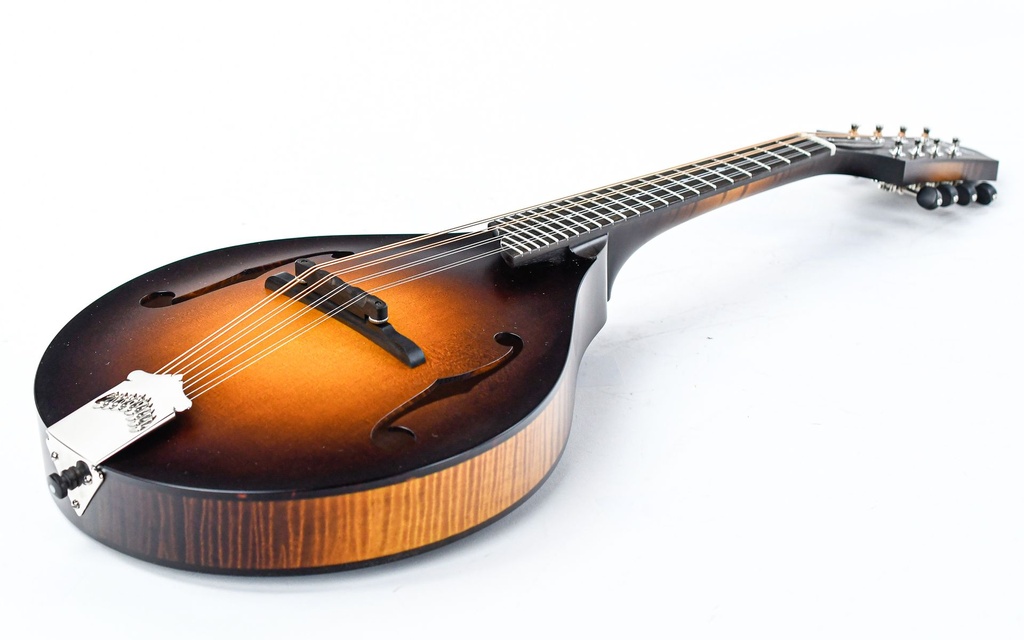 [MT] Collings MT Mandolin-11.jpg