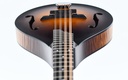 [MT] Collings MT Mandolin-12.jpg