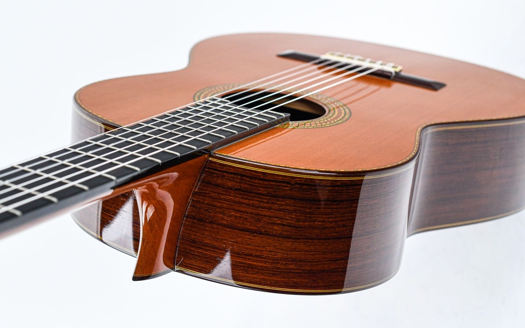 Bernabé M20 Spruce Rosewood 2013-8.jpg