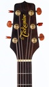 TAKAMINE N15 1986-4.jpg