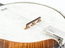 Capek Open Back 5 String Banjo-10.jpg