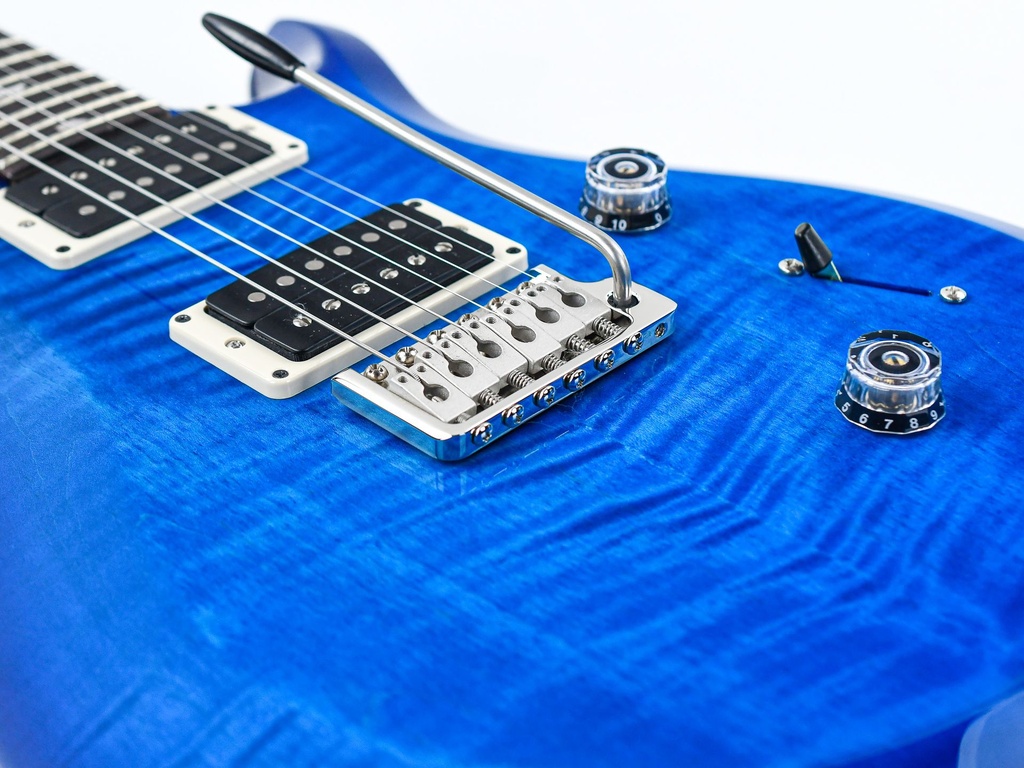 PRS S2 Custom 24 10th Anniversary Lake Blue-10.jpg