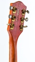 Gretsch G6120 model Chet Atkins 1964-5.jpg