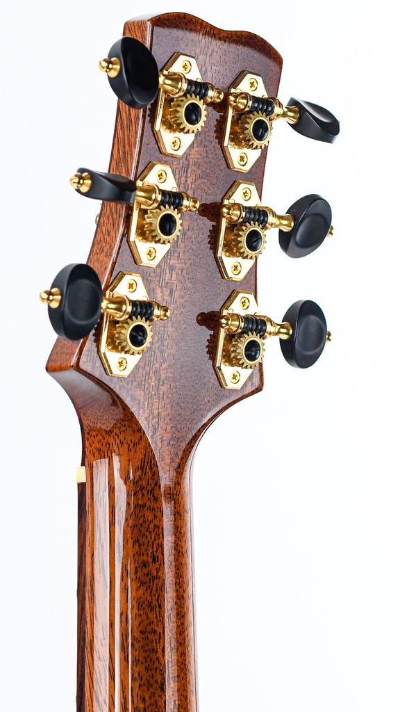 PRS Angelus Custom Shop Adi-Cocobolo 2013-5.jpg