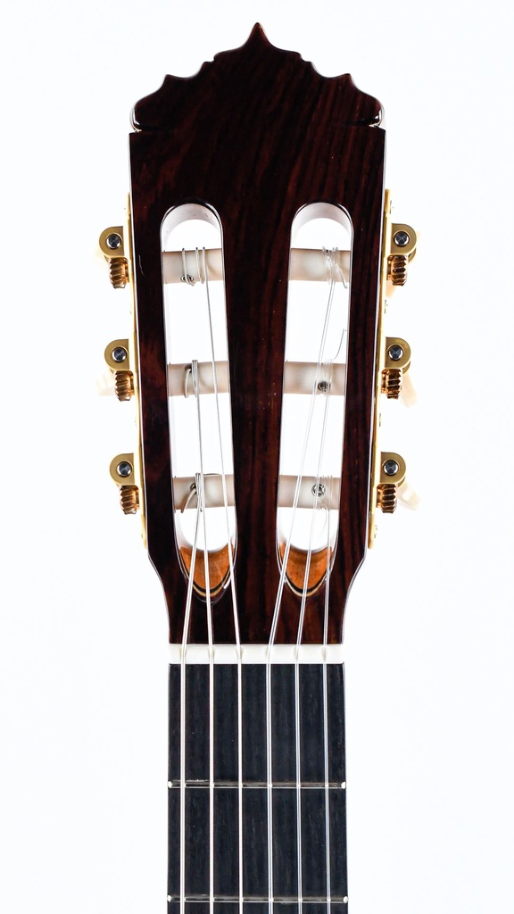 Alhambra Signature Linea Professional Cedar Concert-4.jpg