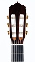 Alhambra Signature Linea Professional Cedar Concert-4.jpg