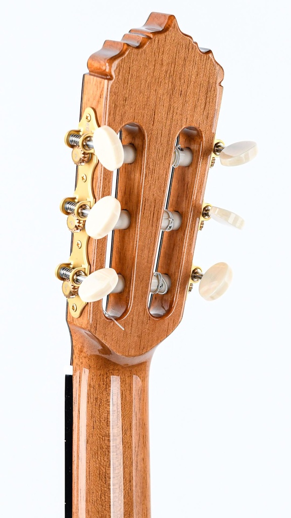 Alhambra Signature Linea Professional Cedar Concert-5.jpg