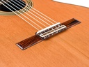 Alhambra Signature Linea Professional Cedar Concert-10.jpg