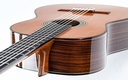 Alhambra Signature Linea Professional Cedar Concert-8.jpg