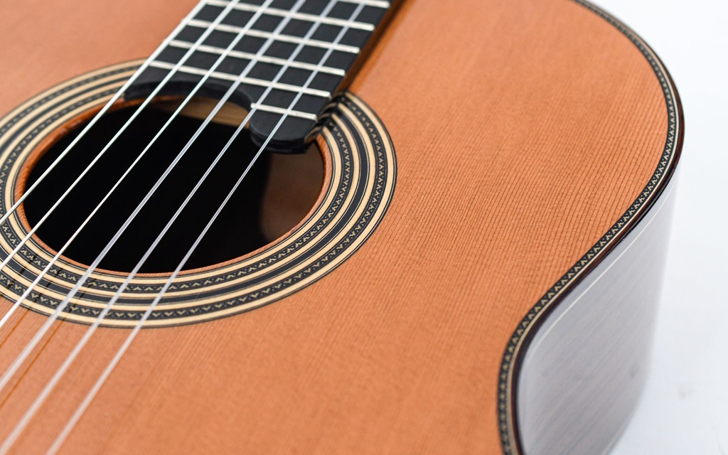 Alhambra Signature Linea Professional Cedar Concert-12.jpg