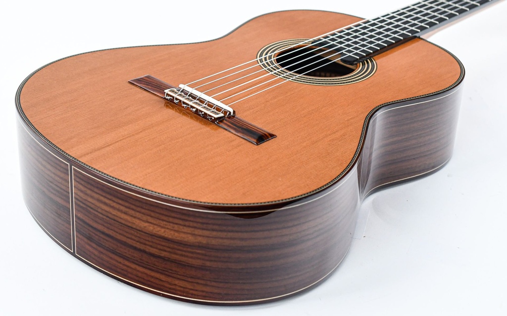 Alhambra Signature Linea Professional Cedar Concert-11.jpg