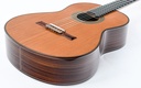 Alhambra Signature Linea Professional Cedar Concert-11.jpg