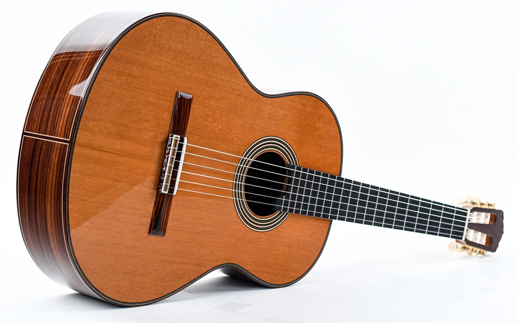 Alhambra Signature Linea Professional Cedar Concert-13.jpg