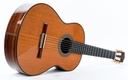 Alhambra Signature Linea Professional Cedar Concert-13.jpg