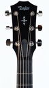 Taylor 717e Builder's Edition 2022-4.jpg