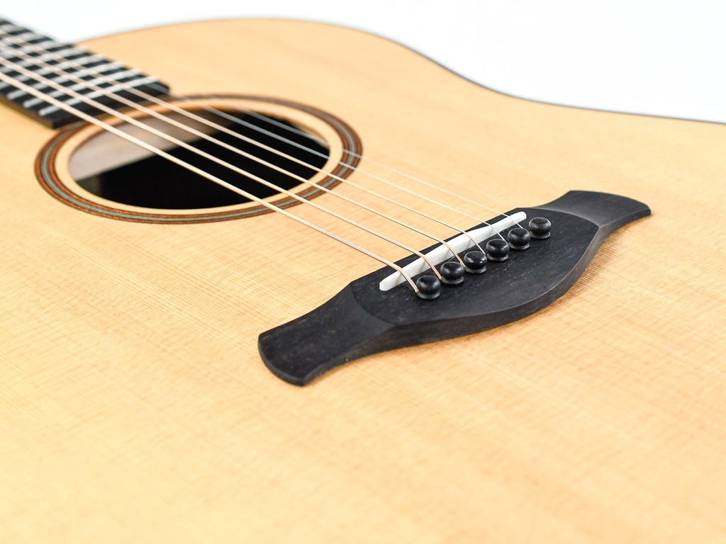 Taylor 717e Builder's Edition 2022-10.jpg