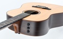 Taylor 717e Builder's Edition 2022-8.jpg